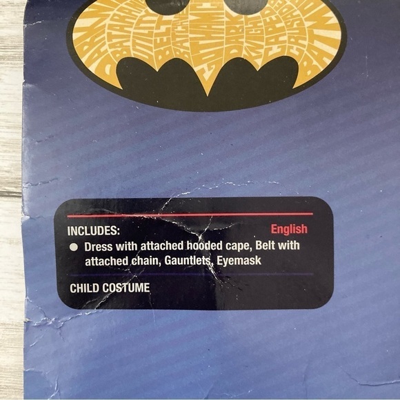 Batgirl Costume - Picture 5 of 6